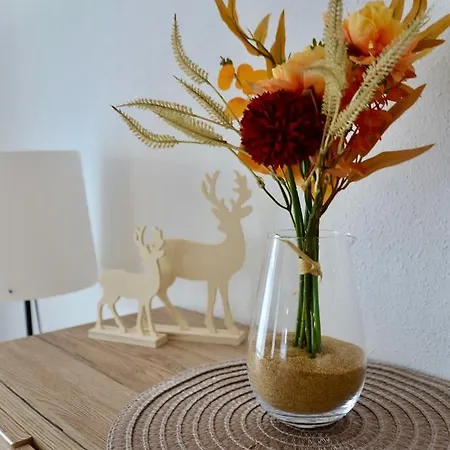 Ferienwohnung Casa Brandt Villingen-Schwenningen Buitenkant foto